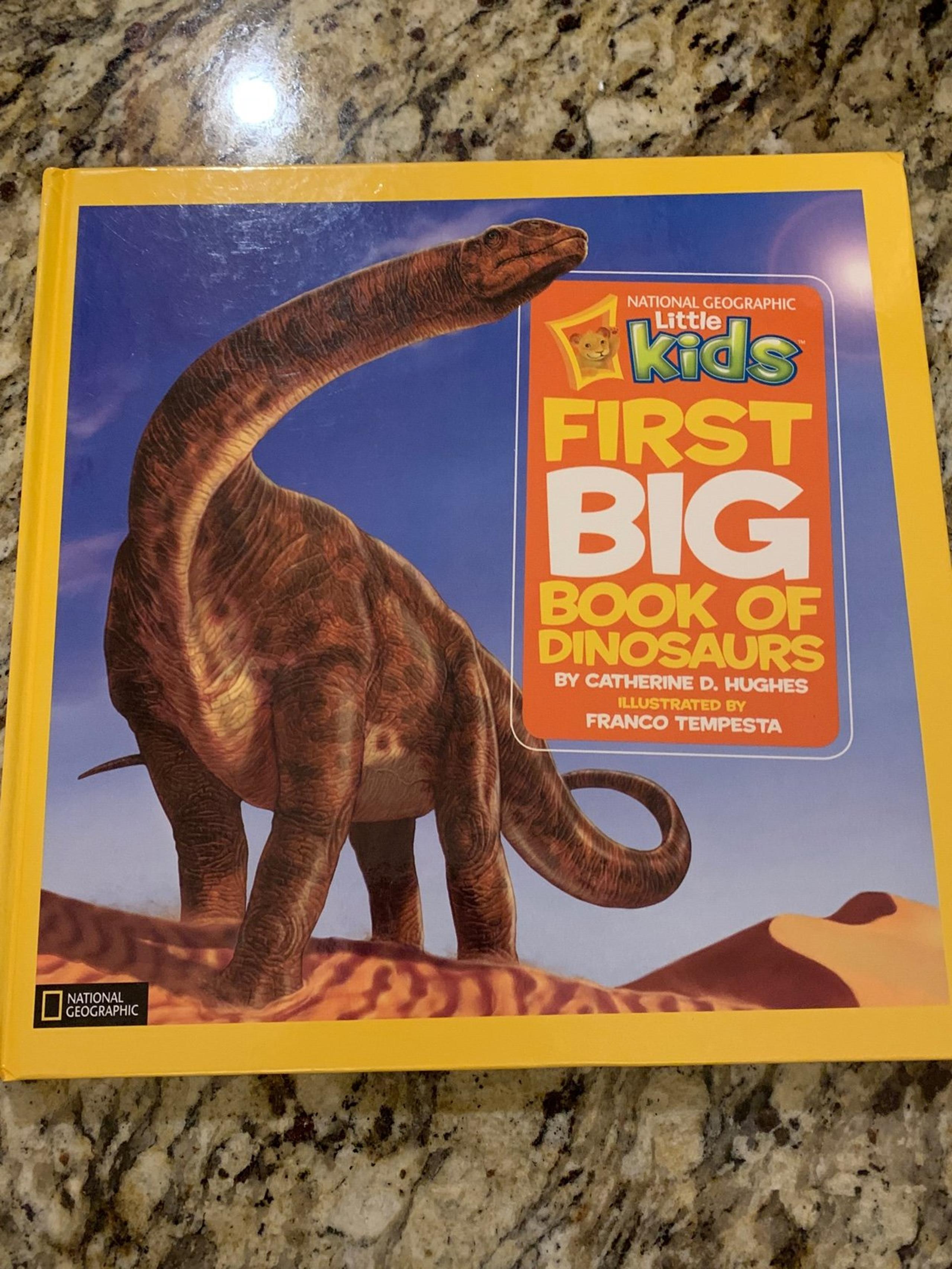 First Big Book of Dinosaurs National Geographic little kids book