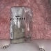 NEW Coach Light Khaki Chalk Signature Print Luggage Tag