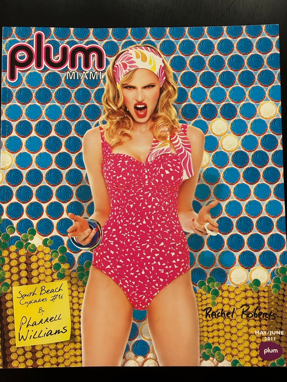 Plum Miami Magazine ** out of print ** May/June 2011