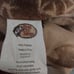 BASS PRO SHOPS DEER THEMED BED IN A BAG