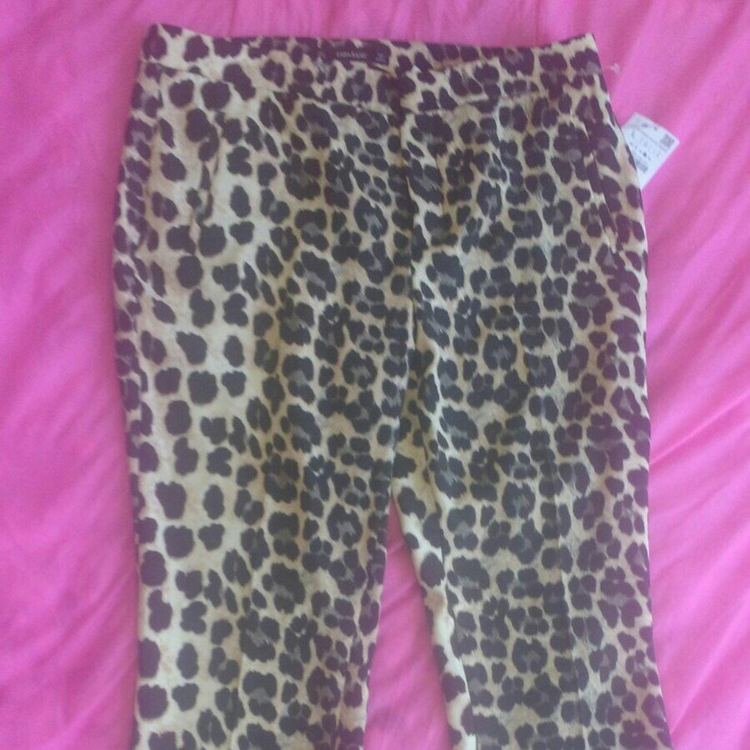 Zara animal print ankle pants.