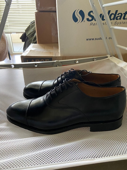 Meermin Cap Toe Oxford Dress Shoe - Black Calf - Size 8 UK / 9 US