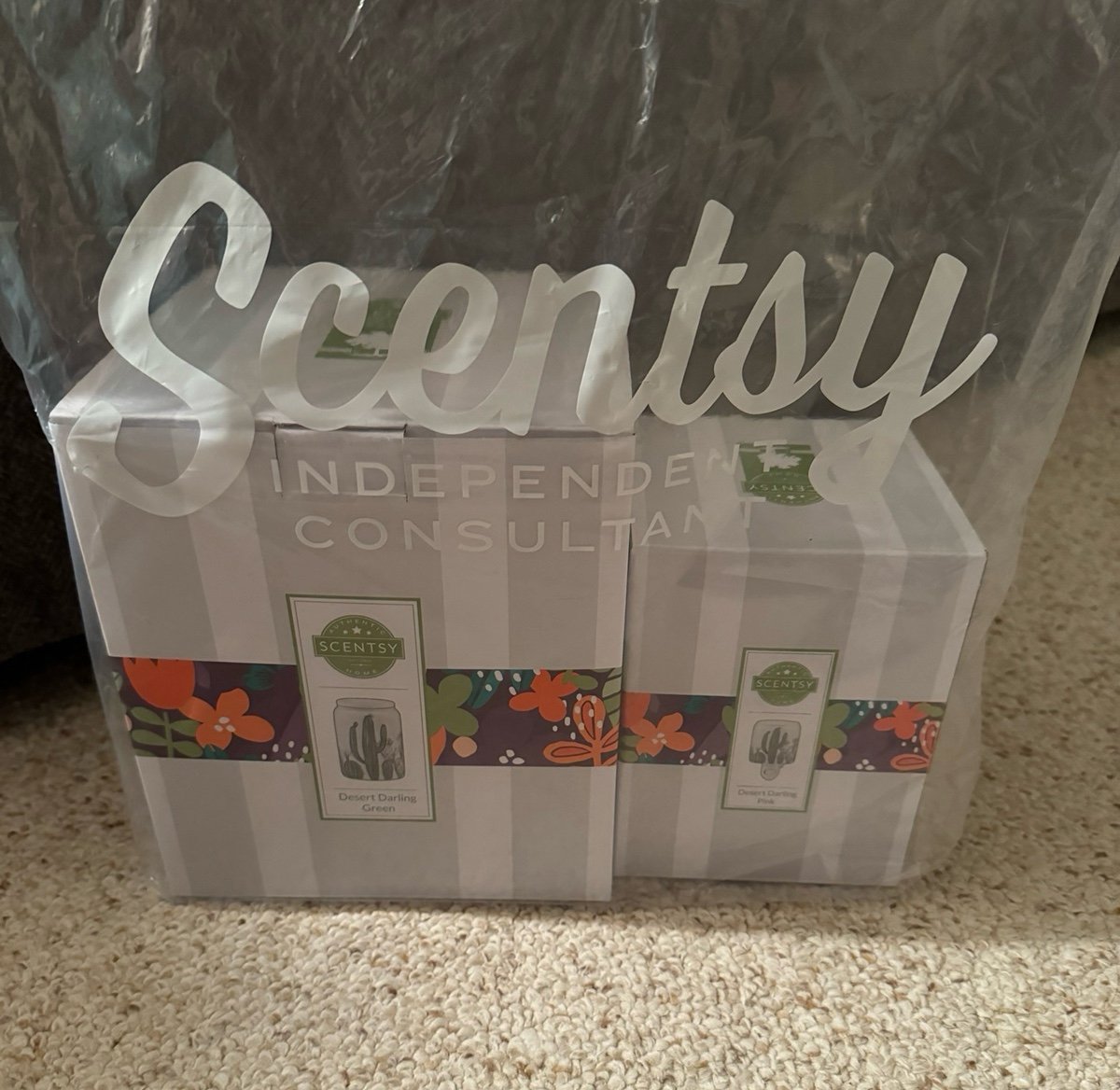 Scentsy Cactus Bundle