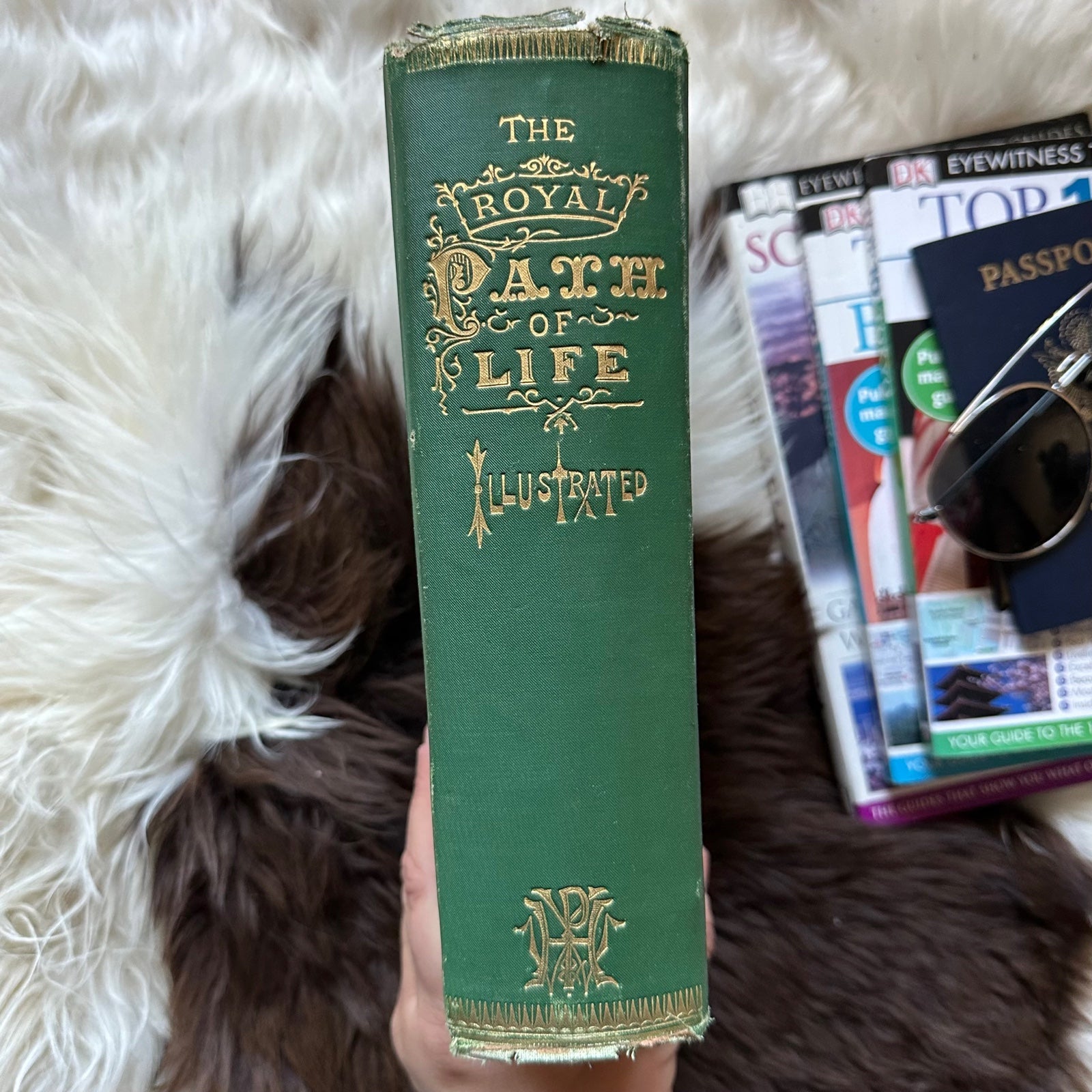 THE ROYAL PATH of shops LIFE 1876 Victorian Era Green Embossed Book