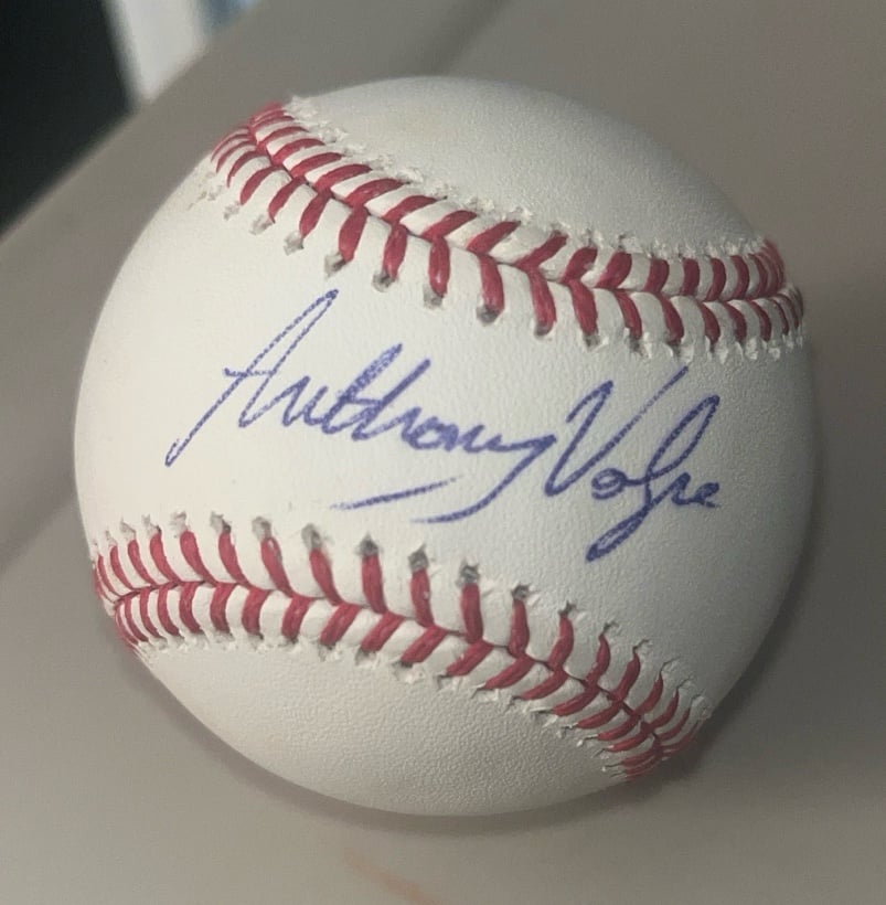 MLB NY YANKEES ANTHONY VOLPE SIGNED BASEBALL WITH COA