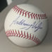 MLB NY YANKEES ANTHONY VOLPE SIGNED BASEBALL WITH COA