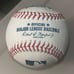 MLB NY YANKEES ANTHONY VOLPE SIGNED BASEBALL WITH COA