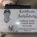 MLB NY YANKEES ANTHONY VOLPE SIGNED BASEBALL WITH COA