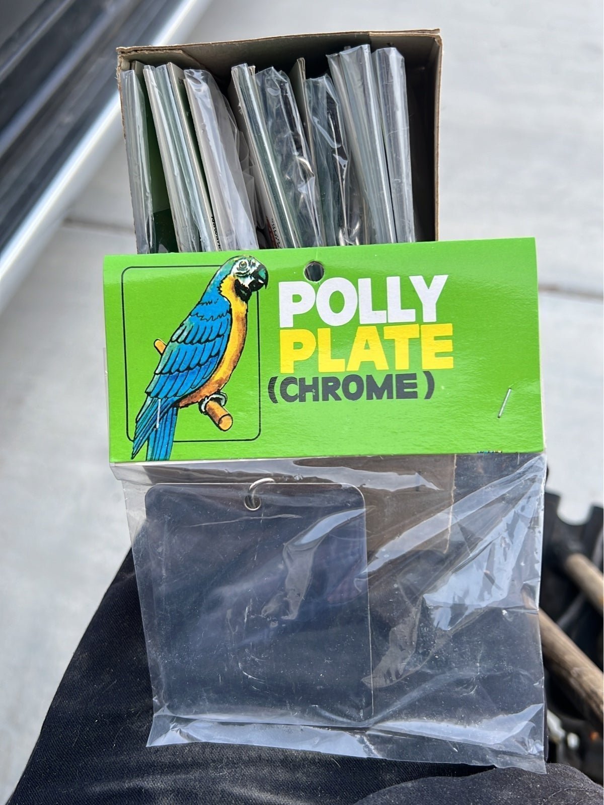 Chrome Parrot Mirror
