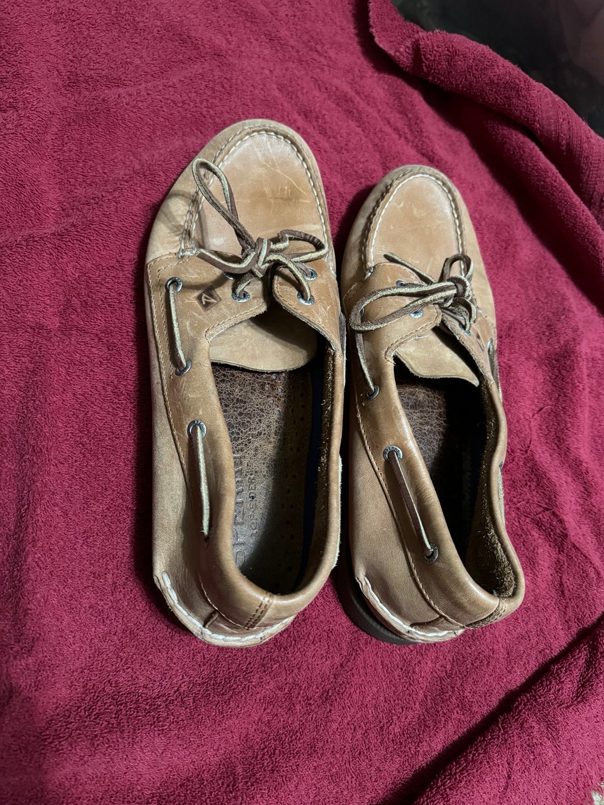 sperry shoes size 12