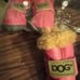Dog boots