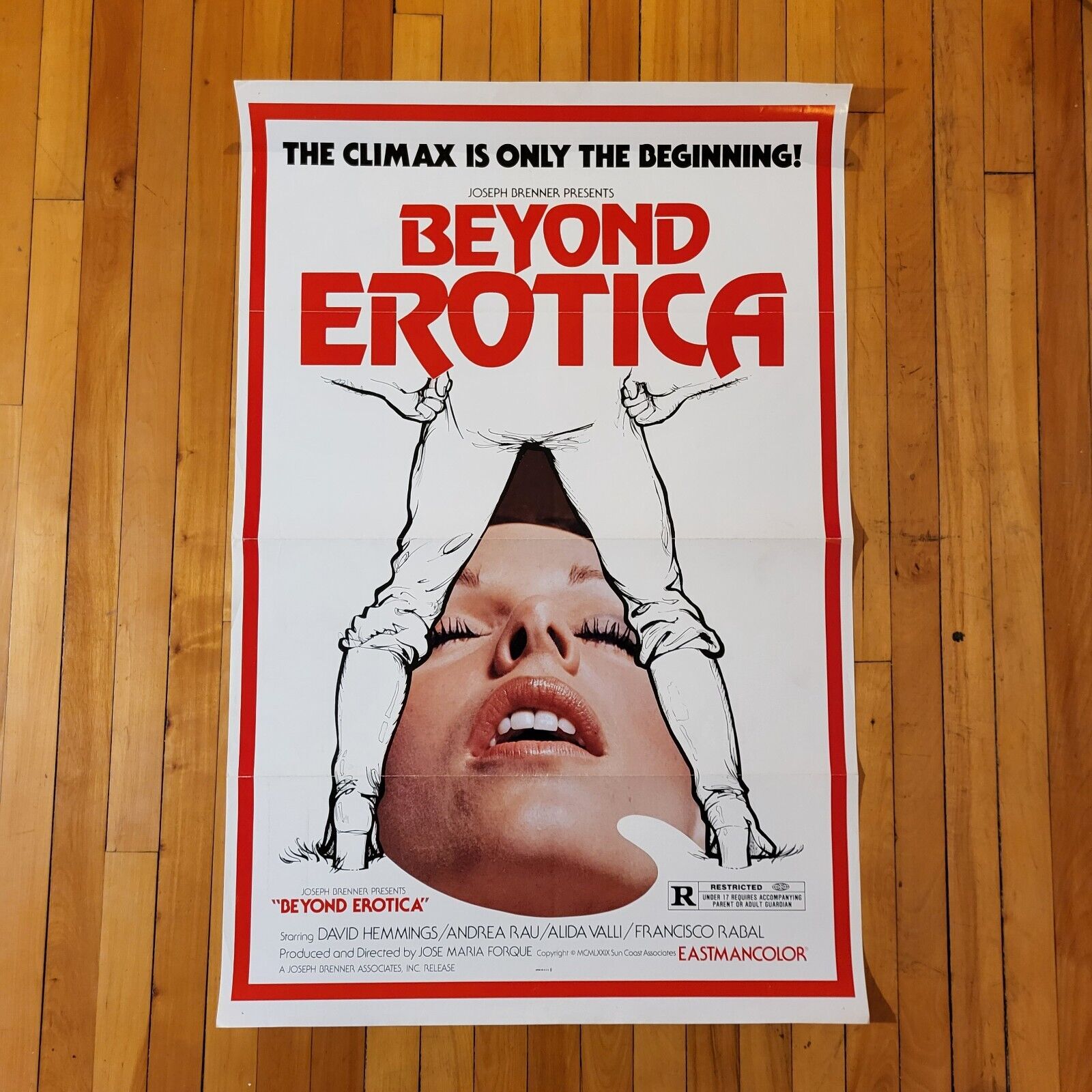 Beyond Erotica (1974) Original 1SH Movie Poster 27x41 Tri-Folded Andrea Rau