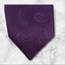 Brioni Tie - Purple Paisley Pattern