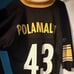 Lot Of 4 Pittsburgh Steelers Jerseys 2xl…2 Ben Rothlisberger 1 Bettis 1 Polamalu