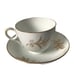 Vintage gold fern bone china cup and saucer