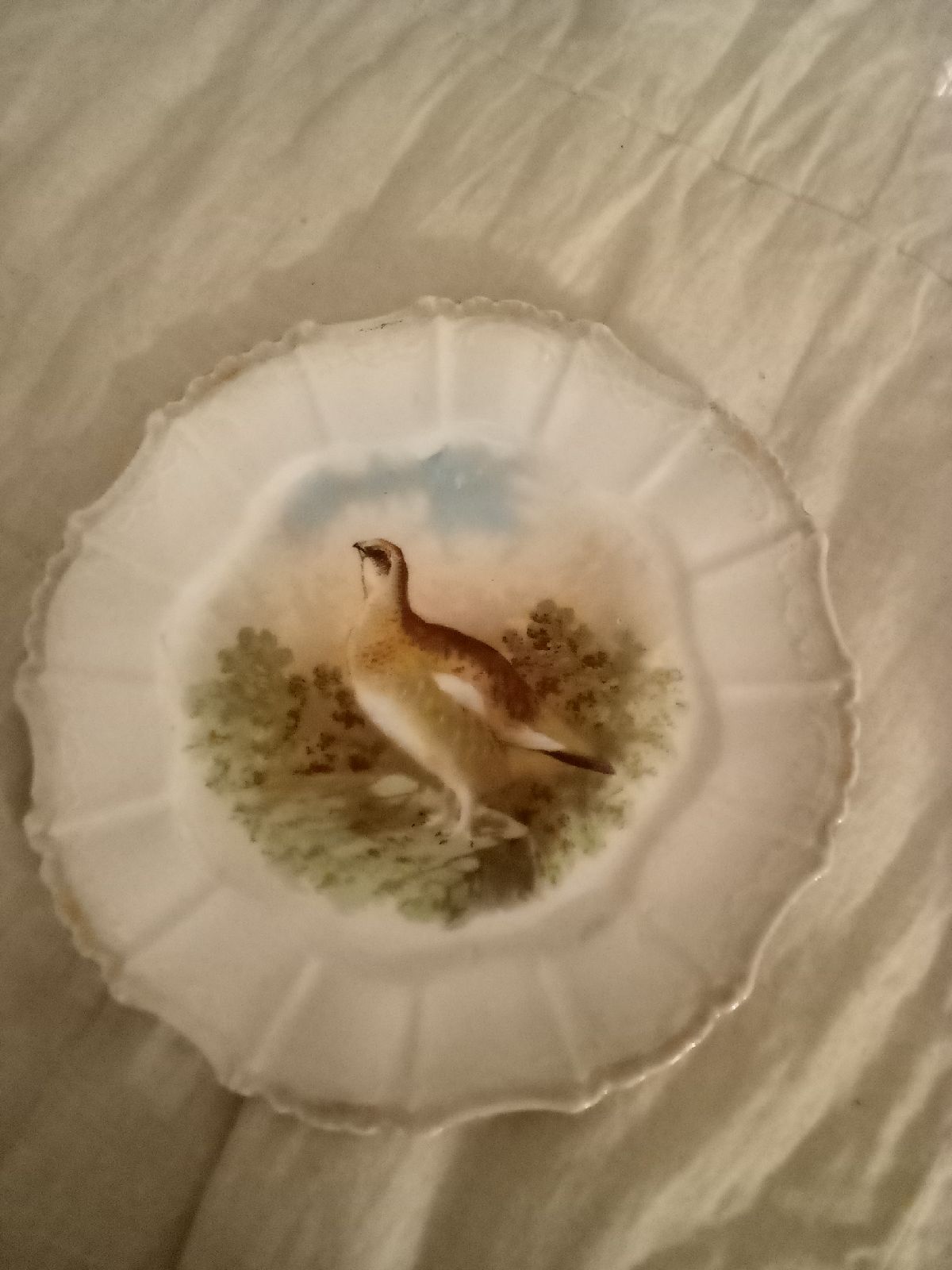 Vintage bird plate
