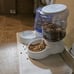 Gravity Pet Food Feeder for Dogs and Cats, Small, 6-Pound Capacity