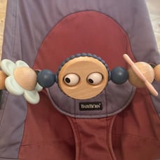 baby bjorn bouncer