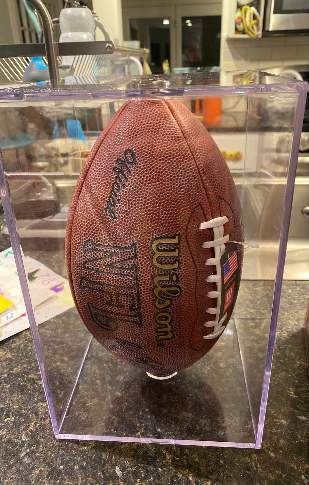 1999 Cleveland Browns Couch/ Brown FB