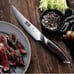 Steak knives set