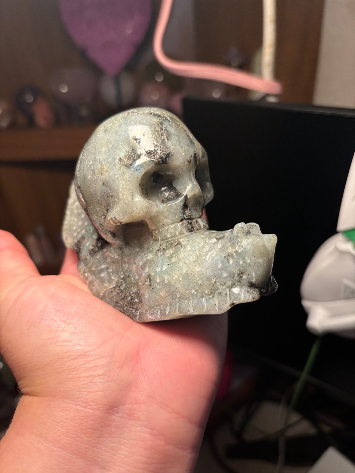 Crystal Labradorite Skull Snail.