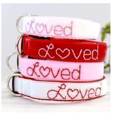 Embroidered velvet LOVE dog collar