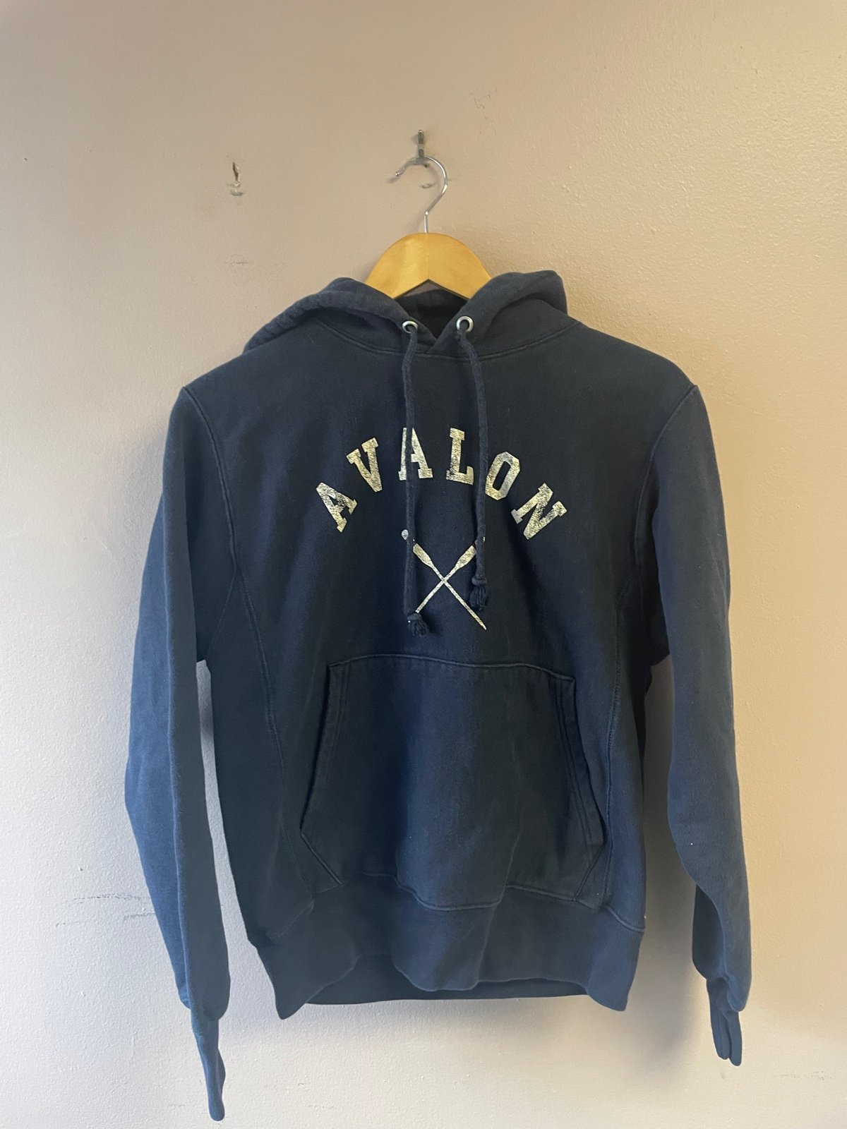 Hoodie champion reverse weave Avalon