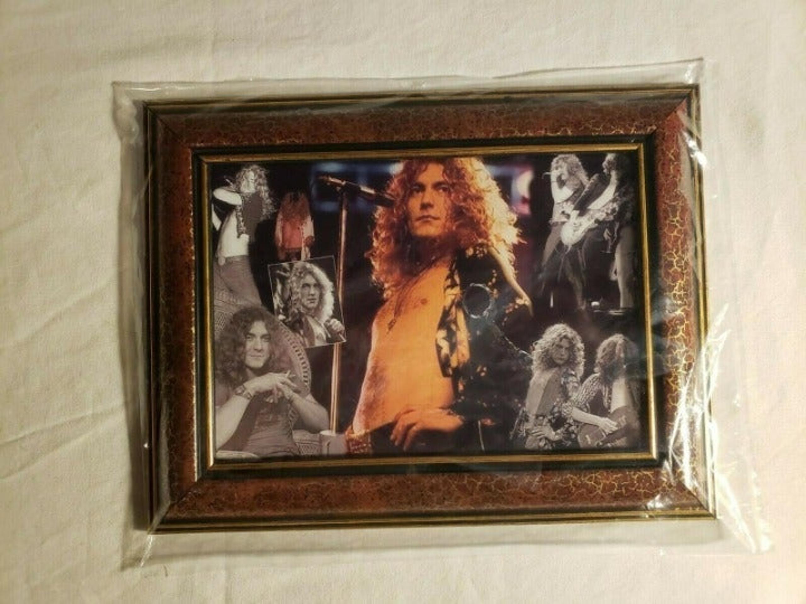 COLLECTIBLE FRAMED ROBERT PLANT PHOTO