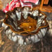 Handcrafted Ceramic Pottery planter l with Earthy Tones