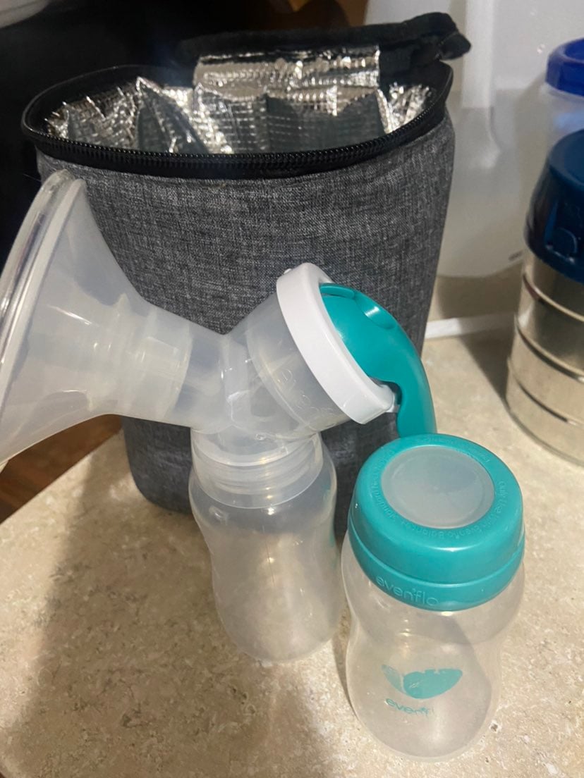 Handheld pump with insulated bag