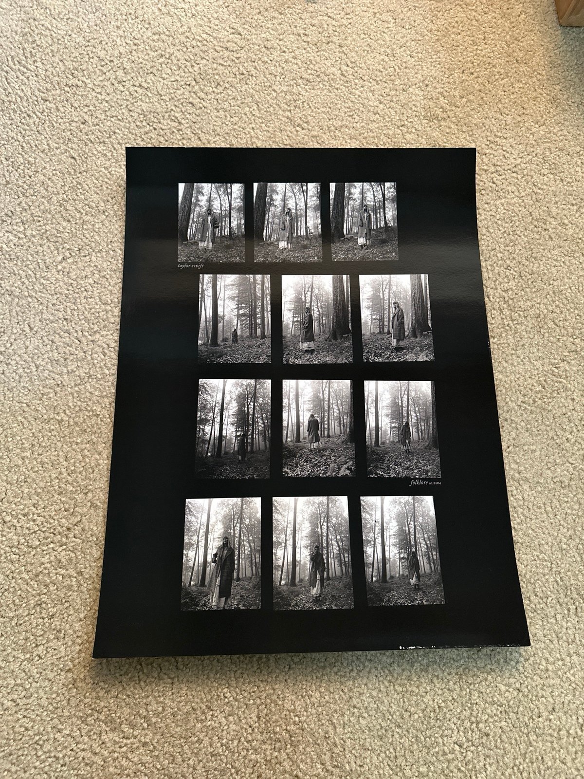 Taylor Swift Folklore In the Trees Lithograph Read Details
