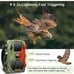 Trail camera for hunting with night vision