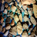 Arrowheads, tools, artifacts