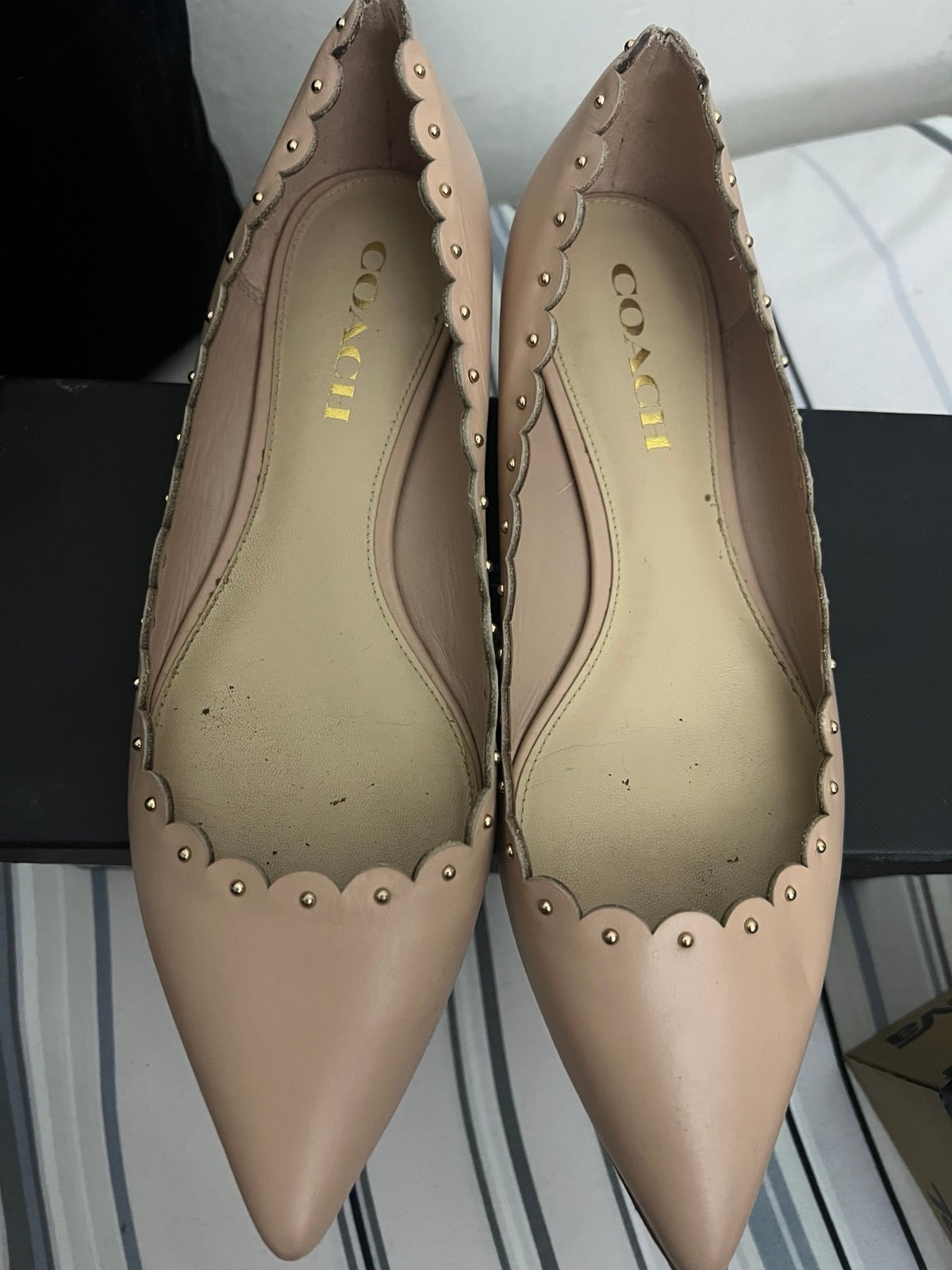 Coach Blush Flats