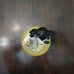 Disney Mickey Mouse Figaro Cat Music Box (1940)