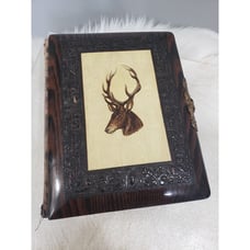 ANTIQUE Celluloid Victorian Photo Album Elk Head and Acorn Cover Green Floral