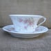 Antique Haviland Schleiger 604 Cup & Saucer Set