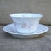 Antique Haviland Schleiger 604 Cup & Saucer Set