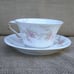 Antique Haviland Schleiger 604 Cup & Saucer Set