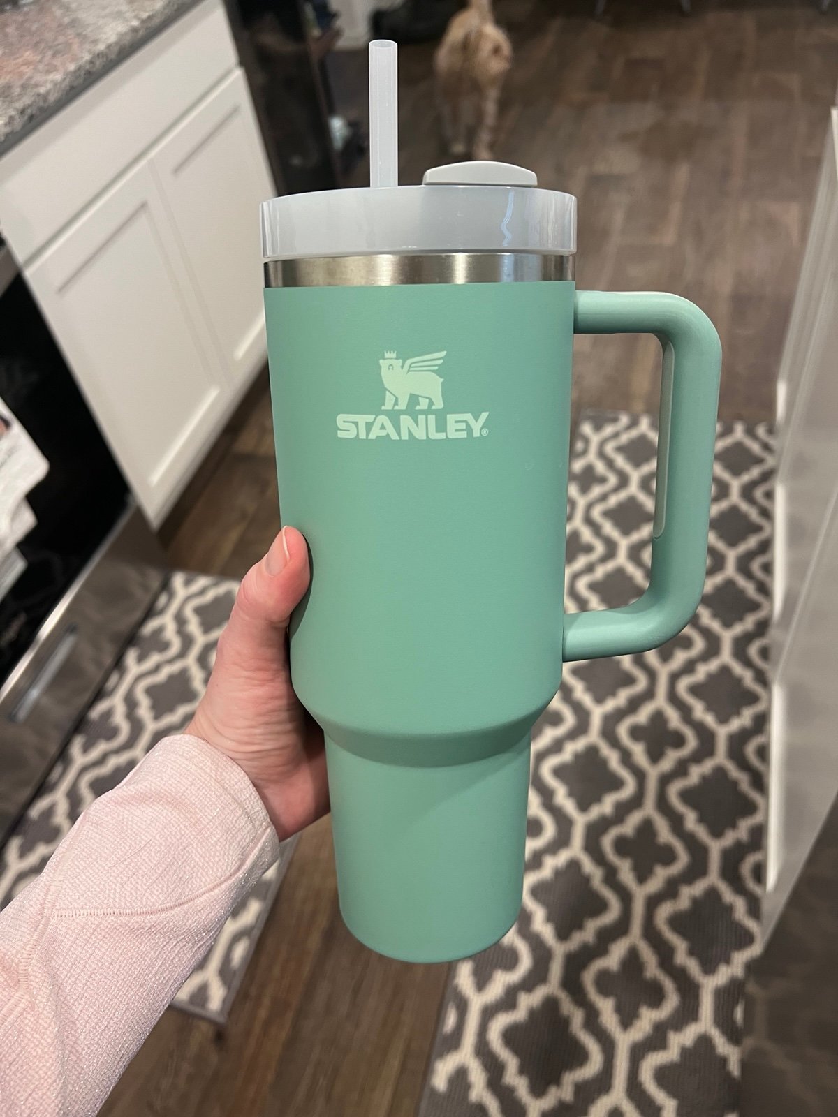 Stanley Eucalyptus 40oz