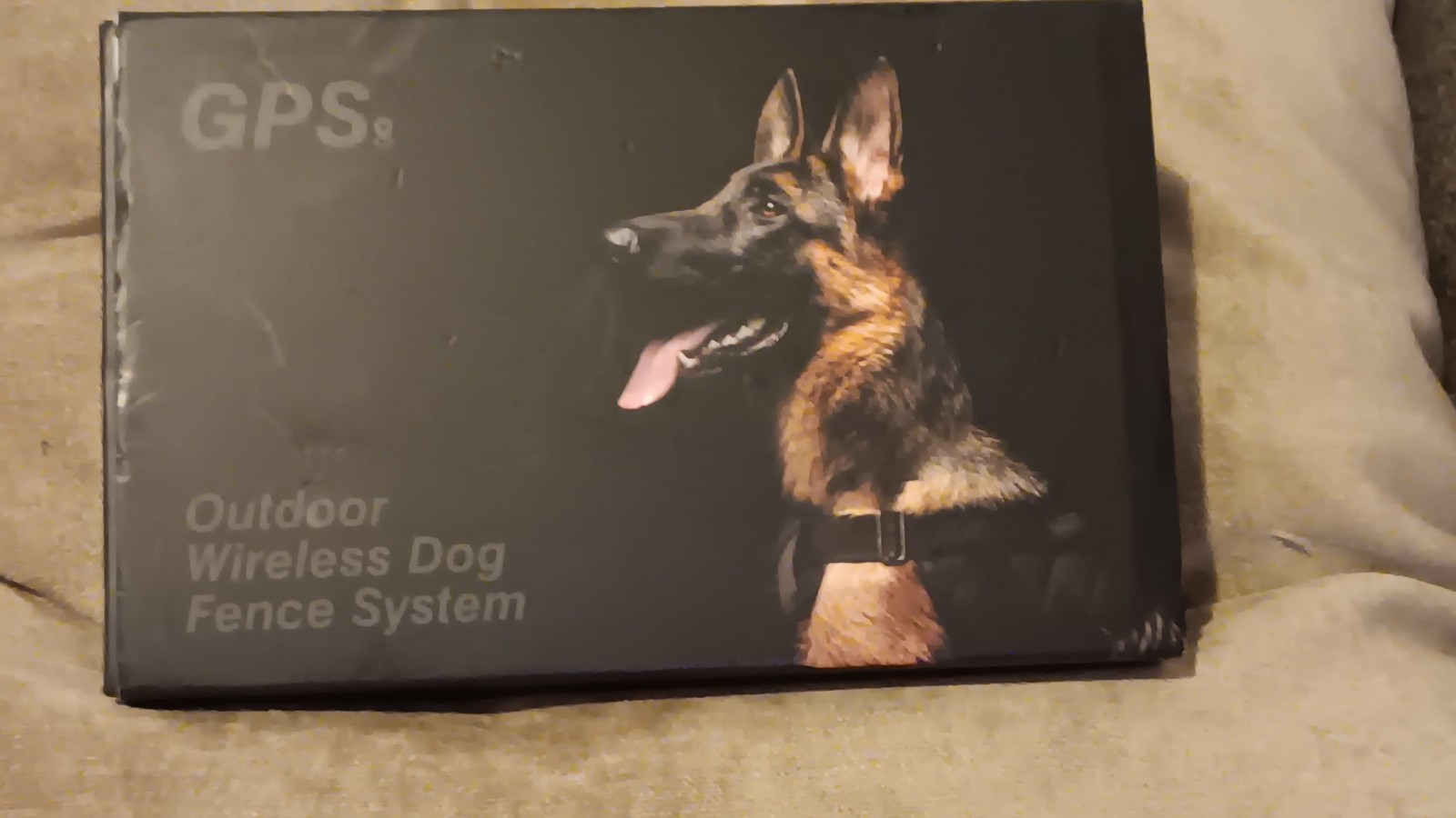 GPS dog training collar