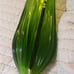 Vintage Swung Pedestal Base Vase