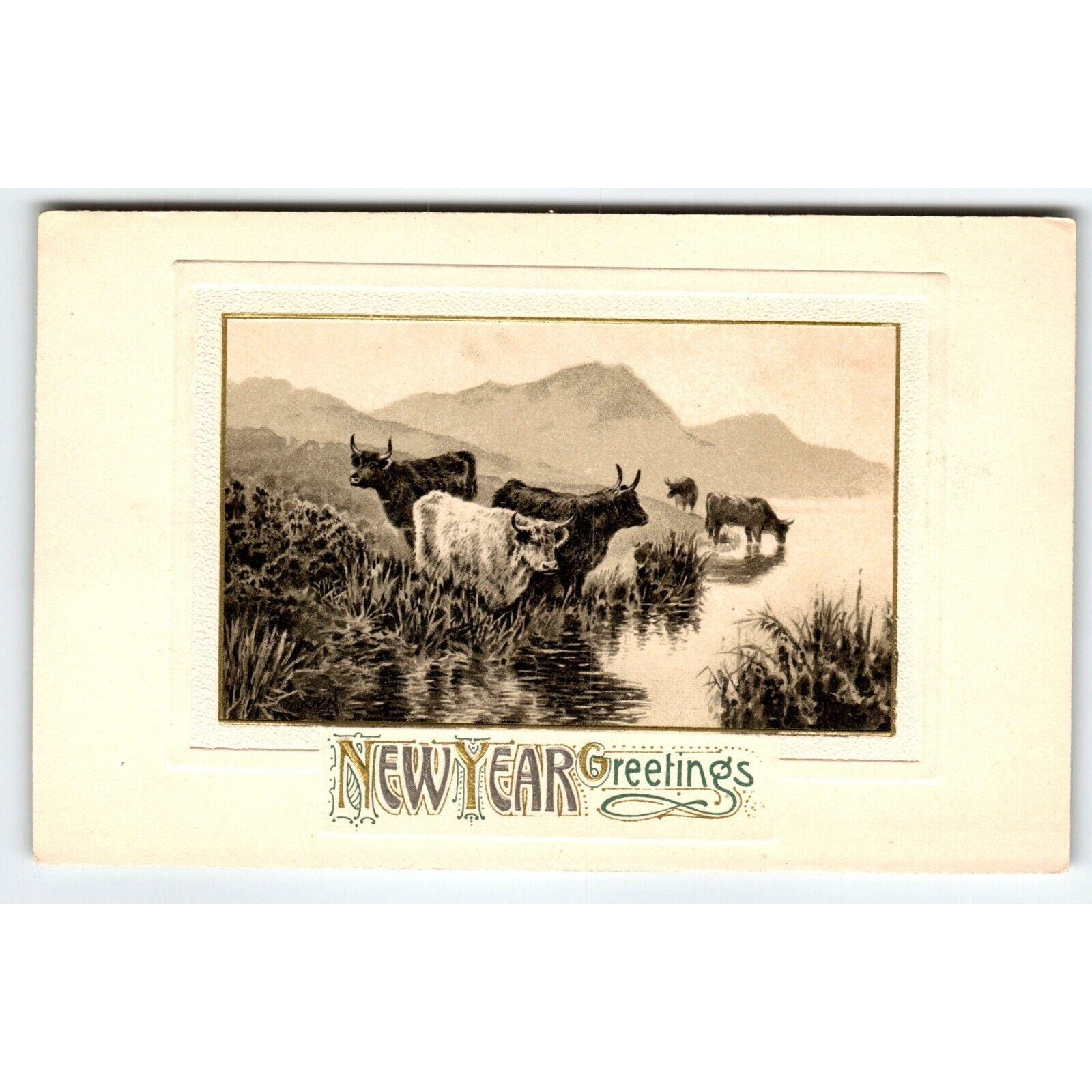 New Year Greetings Postcard Steer Cattle Animals Germany John Winsch Antique
