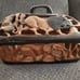 Handcrafted Zambian container