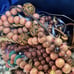 Jewelry Lot over 6LBS of project jewelry craft wooden lucite plastic beads Box 6