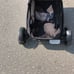 Brand new graco 4 in 1 modes to grow str
