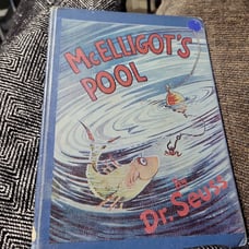 Dr. Seuss McElligot's Pool Book rare ban