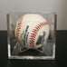 Oscar Taveras autographed baseball