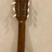 Acoustic Guitar