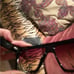 NEW! OTRA Ollie Deep teal shield Sunnies